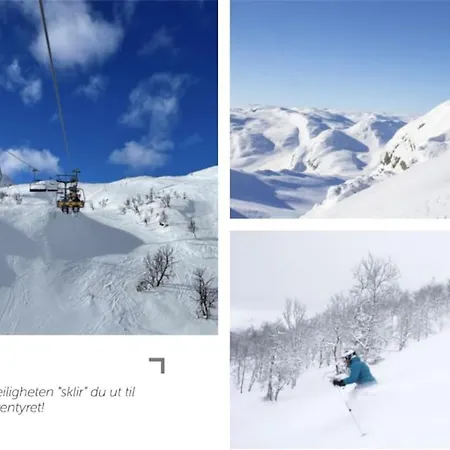 Stor Med Panoramautsikt Over Hemsedal *