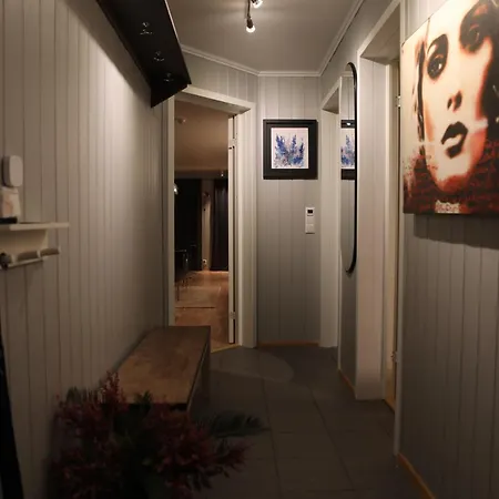 Apartment Ledig Nyttarshelgen Er En Stor Med Panoramautsikt Over