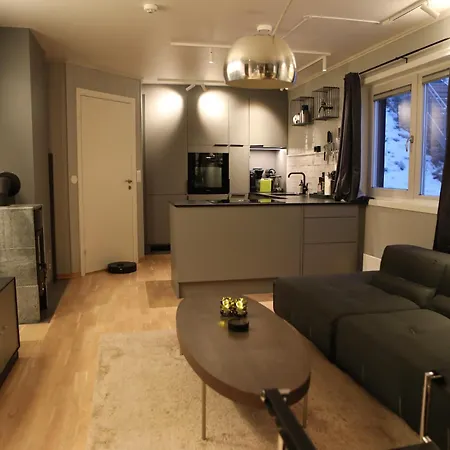 アパート Ledig Vinterferien Er En Stor Ski In Out Leilighet Med Panoramautsikt Over Hemsedal ヘムセダール