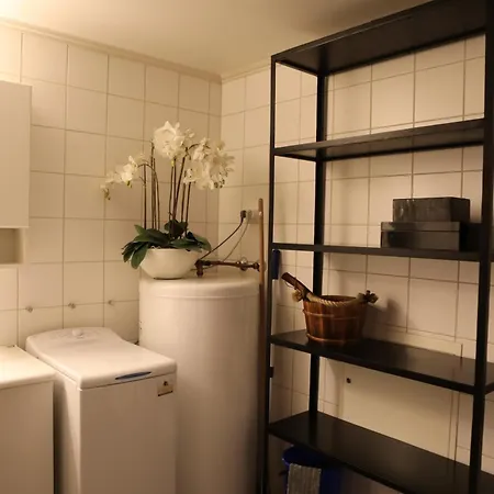 Ledig Vinterferien Er En Stor Ski In Out Leilighet Med Panoramautsikt Over Hemsedal * ヘムセダール