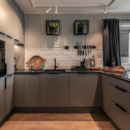 Ledig Vinterferien Er En Stor Ski In Out Leilighet Med Panoramautsikt Over Hemsedal アパート