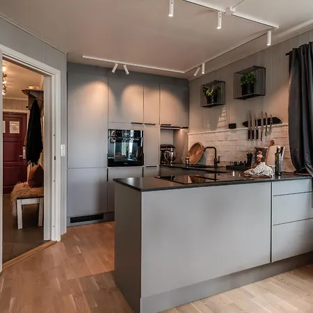 Apartment Ledig Nyttarshelgen Er En Stor Med Panoramautsikt Over *