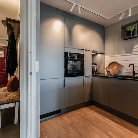 Ledig Vinterferien Er En Stor Ski In Out Leilighet Med Panoramautsikt Over Hemsedal ヘムセダール