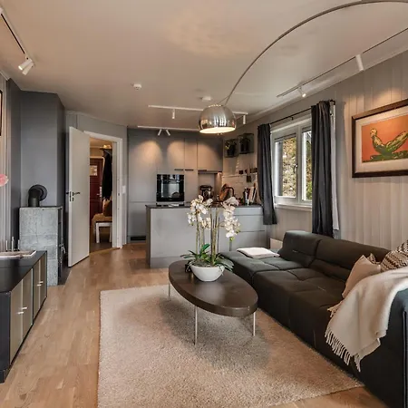 Apartment Ledig Nyttarshelgen Er En Stor Med Panoramautsikt Over *